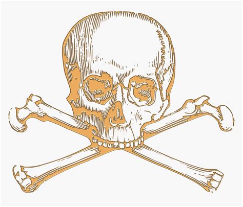 royalty free drawings.